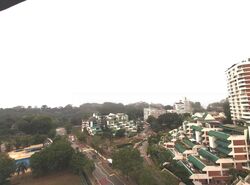 Astor Green (D21), Condominium #469947501